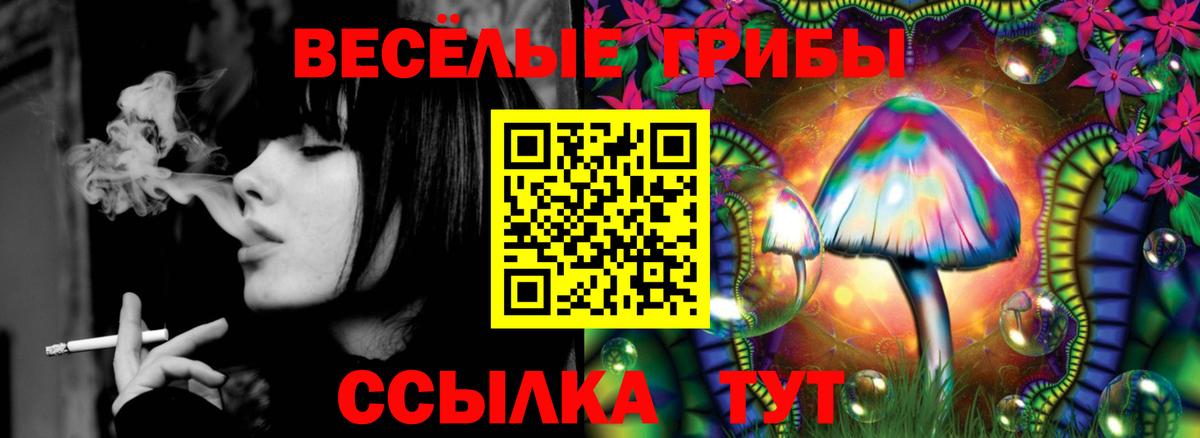 наркотики  Галлюциногенные грибы Cubensis  Вход с VPN  Свободный 