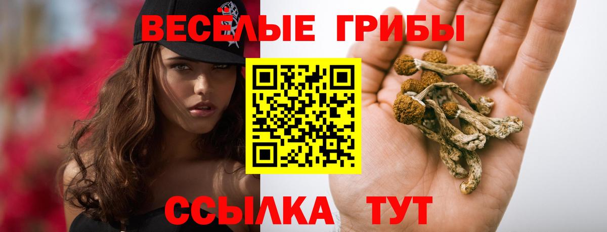 Псилоцибиновые грибы мухоморы Свободный
