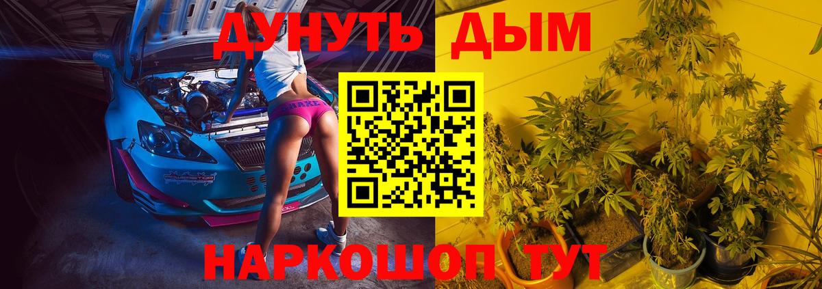 Бошки марихуана MAZAR  Шишки марихуана Ganja  Вход с VPN  Свободный  Бошки марихуана конопля  Конопля White Widow 
